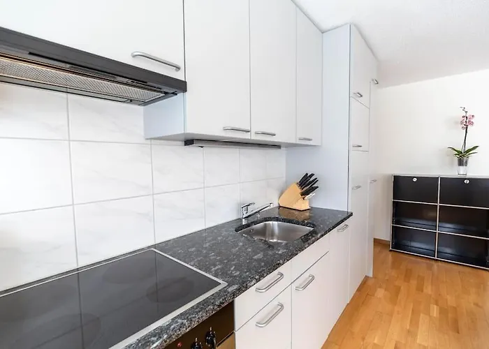 Executive 1bd Flat In The Center - Hoesch 2 Apartment Zürich