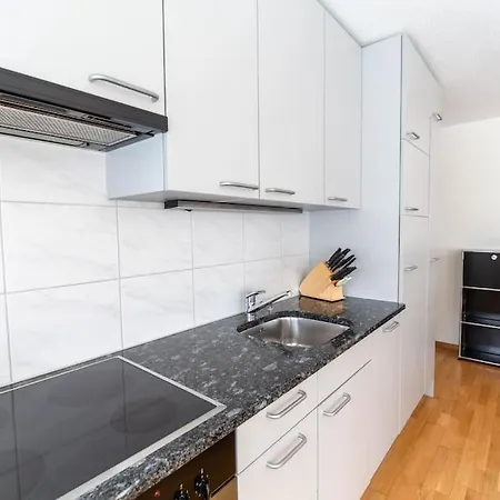 Executive 1bd Flat In The Center - Hoesch 2 Apartamento Zúrich